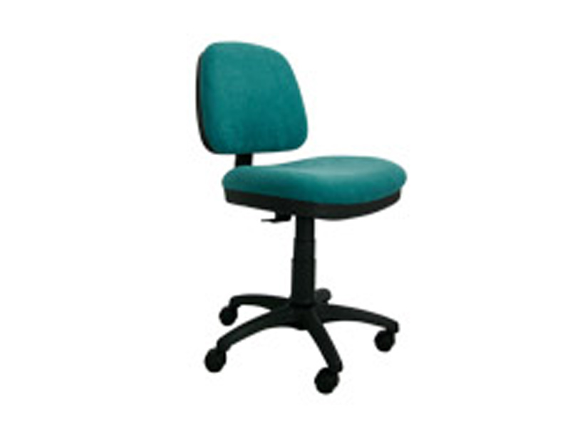 web shop DS121 