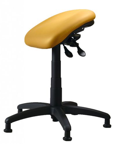 web shop MS 62 