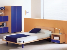krevet v307 